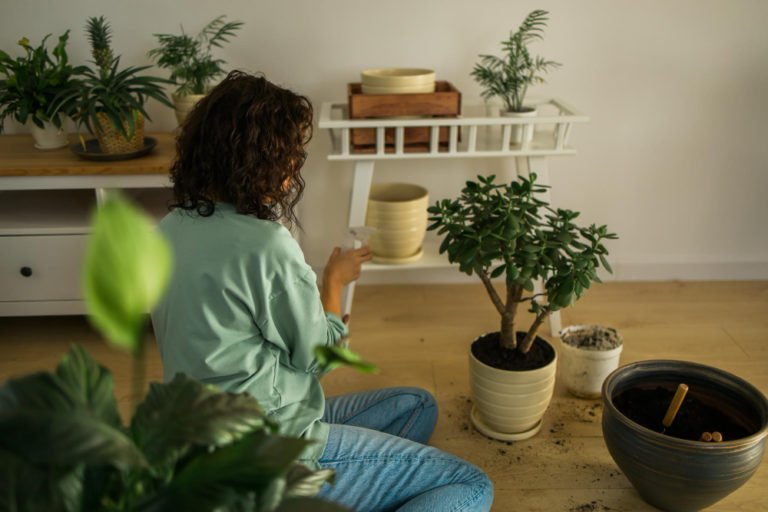 Plantation intérieur maison : suggestions de plantes d’intérieur et conseils pour les cultiver avec succès