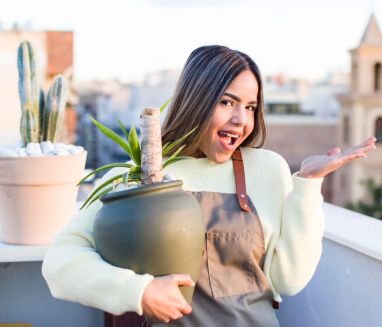 Comment créer un jardin zen sur un petit balcon urbain ?